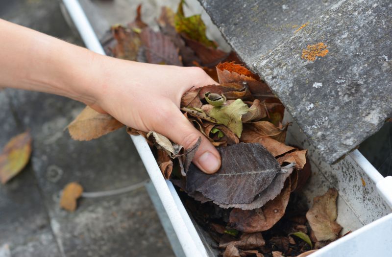 Clogged Gutter Maintenance